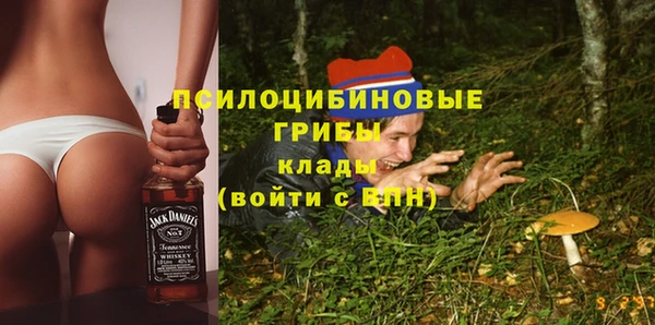 первитин Белокуриха