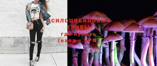 первитин Белокуриха