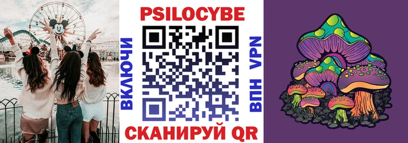 Купить где  Курчалой  Псилоцибиновые грибы Magic Shrooms 